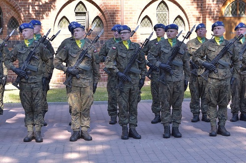  Wojsko stojące w dwuszeregu